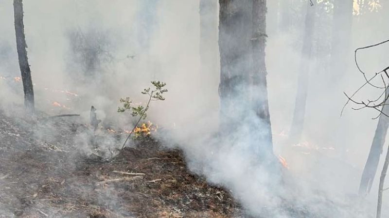 Съставиха акт на мъж, запалил огън в двора си в село Плоски